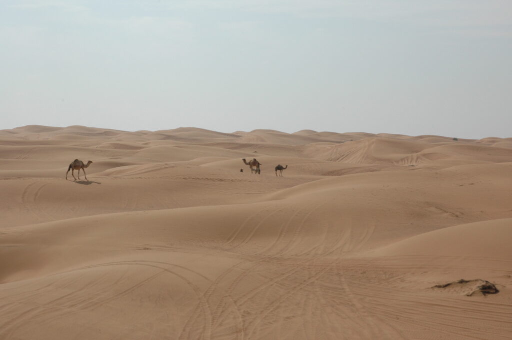 2007_Dubai_03