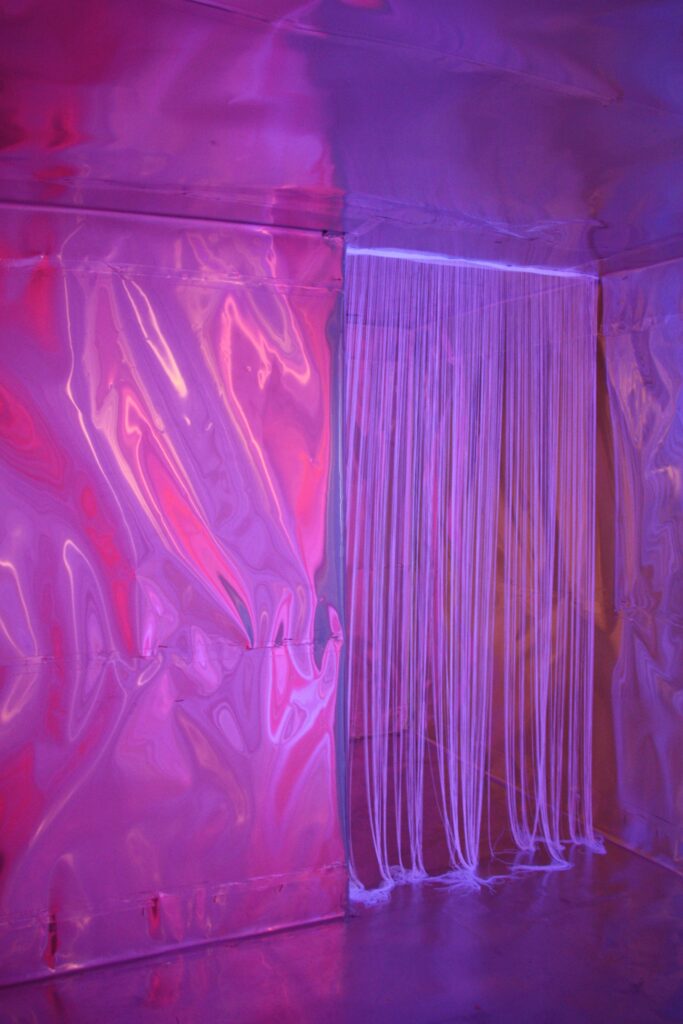 2011_Voka_03