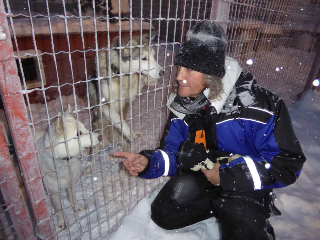 2014_Zweden_sledehonden_04