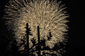 2014_japans_vuurwerk_Dusseldorf_05