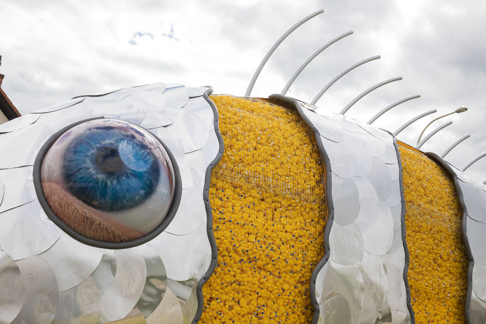 2018_PlasticSoup_Fish_04