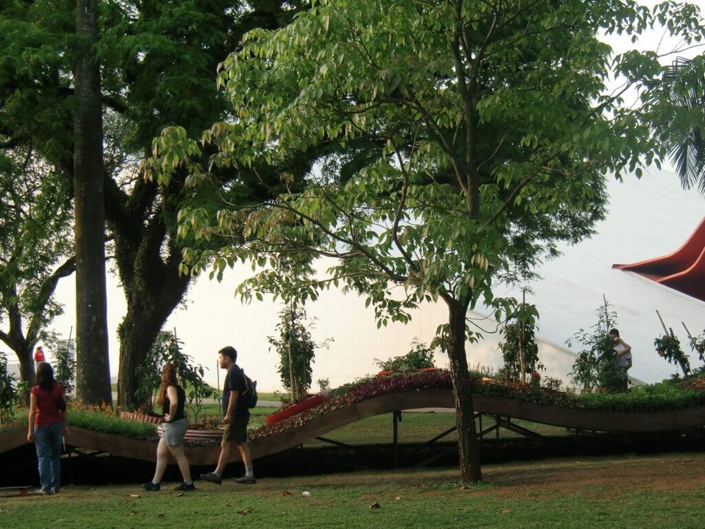 2010_Brazilie_05